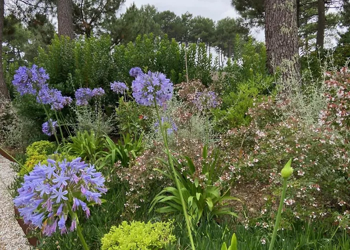 Emak Bakia וילה *